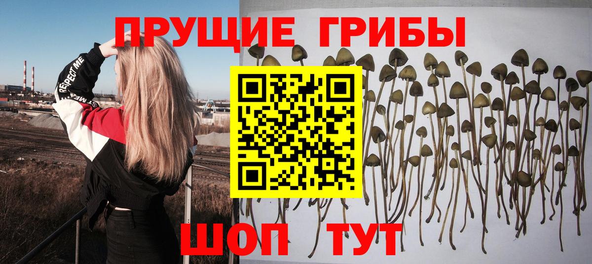 Псилоцибиновые грибы Magic Shrooms Новосибирск