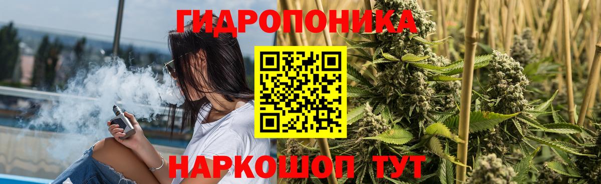 Шишки марихуана семена Новосибирск